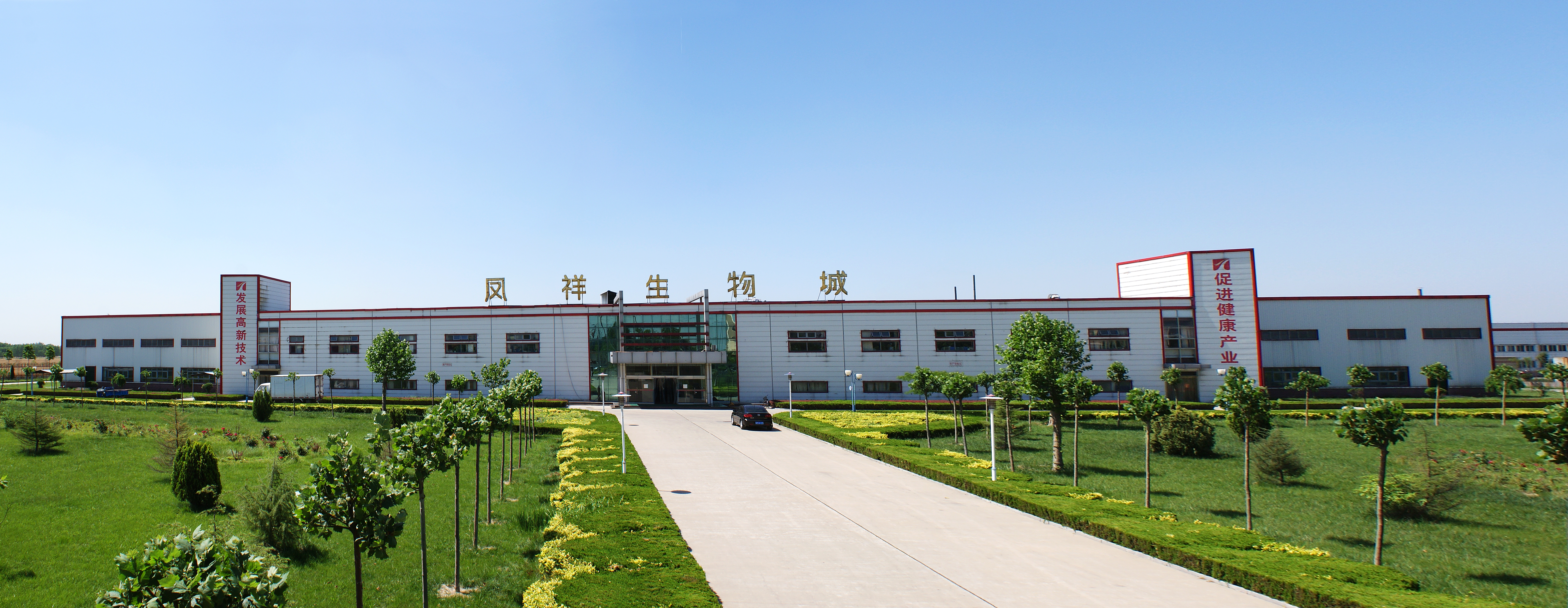 公司大图